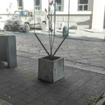 Galleria Fotografica Simposio sulla Relazionalità - Museo Limen