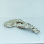 Galleria Fotografica Simposio sulla Relazionalità - Museo Limen