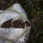 Galleria Fotografica Simposio sulla Relazionalità - Museo Limen