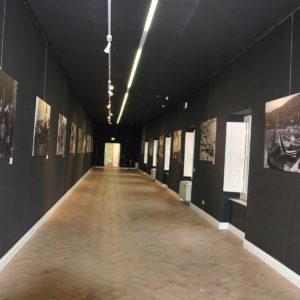 Galleria Fotografica - Quel Mondo di Prima