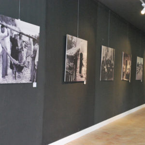 Galleria Fotografica - Quel Mondo di Prima