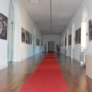 Galleria Fotografica - Quel Mondo di Prima