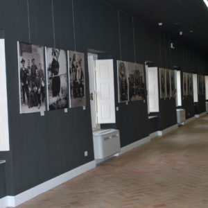 Galleria Fotografica - Quel Mondo di Prima