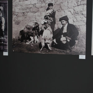 Galleria Fotografica - Quel Mondo di Prima