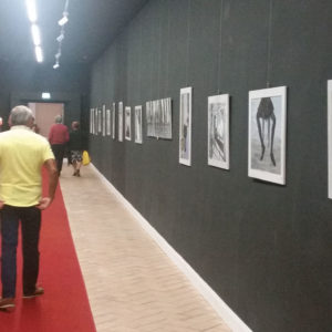 Galleria Immagini Ombre verso la Luce